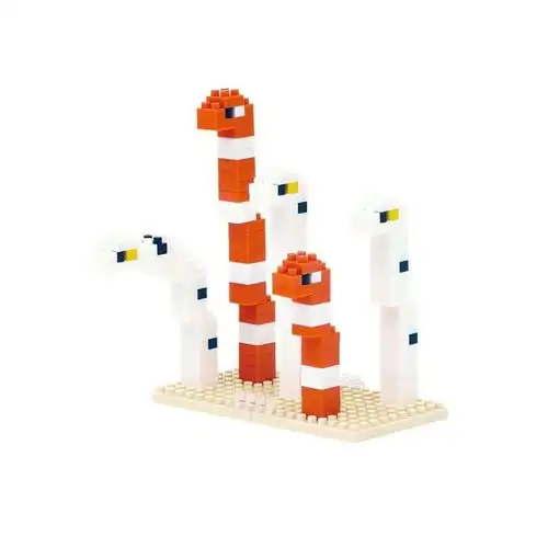 花园鳗的心灵奇旅 花园鳗的心灵奇旅