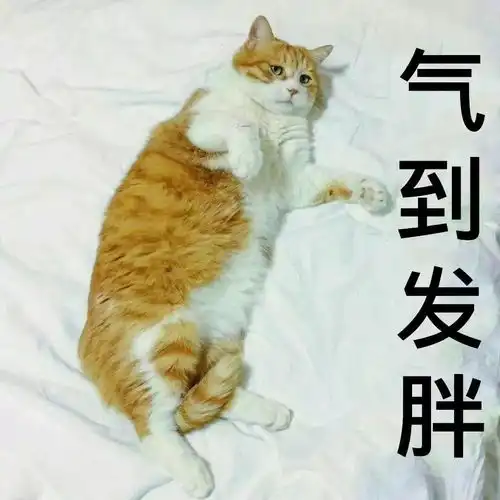 猫咪老师表情包带字立秋