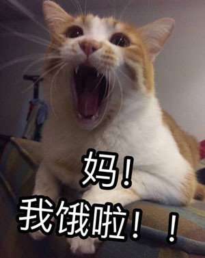 在干嘛表情包搞笑暑假