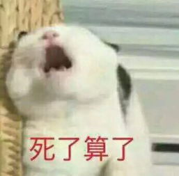  你睡了我男朋友但我们还是朋友,这种大尺度狗血情节真的可以拍