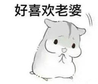  仓鼠夫妻