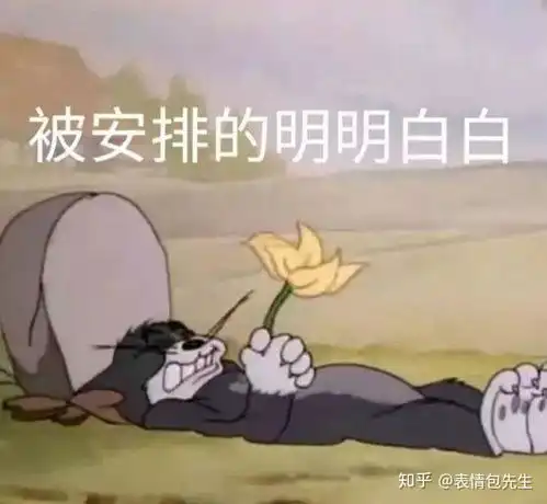  那些很骚的表情包是在哪里找到的