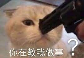  马斯克与币圈的的爱恨情仇