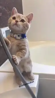 比打针更可怕的,就是洗澡啊...... 比打针更可怕的,就是洗澡啊......