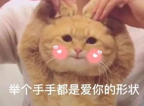  父爱如山你的父亲是什么样的人呢