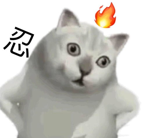  组里的妈妈妈都补好觉了吗...