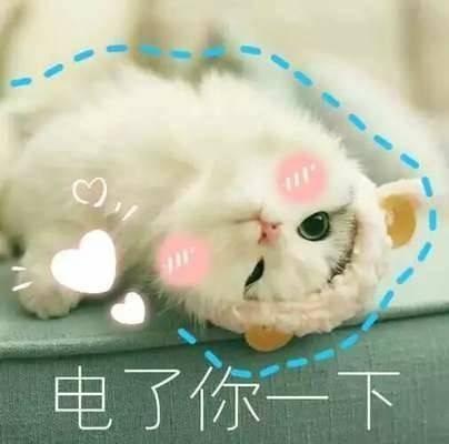  热门撩妹表情包每十秒想你一次,一天想你8640次