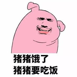 安慰奖表情包图片瓜子