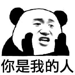  有意思你这婆娘我要定了撩妹表情包全套熊猫头撩妹撩汉表情包下载乐游网游戏下载