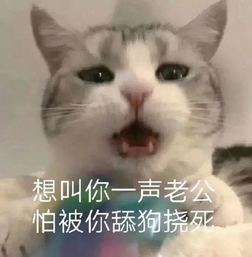  可爱表情包终究是一个人扛下所有