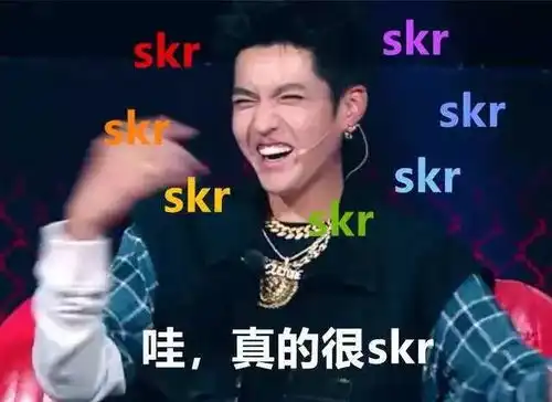  还听不懂skrskr真要急skr人了