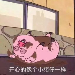  听说最近很流行吸猪