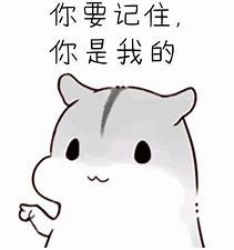  仓鼠表情包把耳朵凑过来一下
