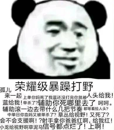  王者荣耀求野王带的表情包