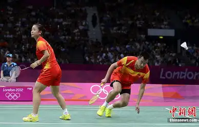  张楠赵云蕾夺第20金国羽包揽混双冠亚军