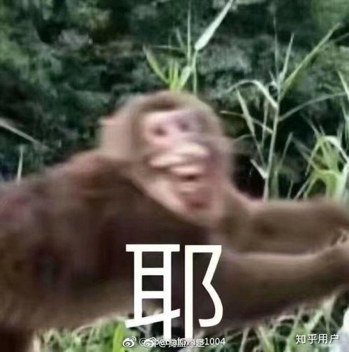  如何在自己的大学找一个男朋友