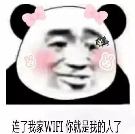  搞笑熊猫头撩汉表情包,既然都要老不如一起吧