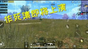  cf手游小龙队友挂机挂出了新高度,关键包还在这熊孩子身上