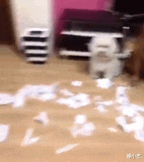  搞笑图片看沙雕网友剪的指甲,我就知道有多无聊了