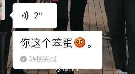  别告诉我我是最后一个知道的微信语音转文字会自动配表情