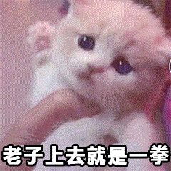  超可爱的喵星人表情包给超可爱的你