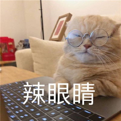  不想加班的热门聊天表情