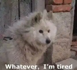 拍了3支招聘广告,感觉一个人也招不到哈哈哈哈哈哈哈 拍了3支招聘广告,感觉一个人也招不到哈哈哈哈哈哈哈