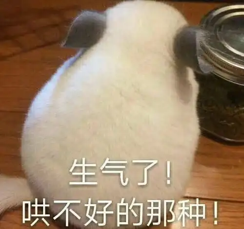 一个屁墩 一个屁墩