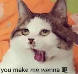 搞笑表情包旺仔小馒头的嫌弃不屑的整理我的高领毛衣 搞笑表情包旺仔小馒头的嫌弃不屑的整理我的高领毛衣