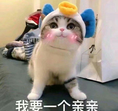  段子来啦第一次和她回家见家长,内心说不出的紧张