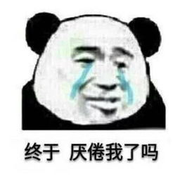  熊猫头质疑委屈流泪表情包你们到底什么关系