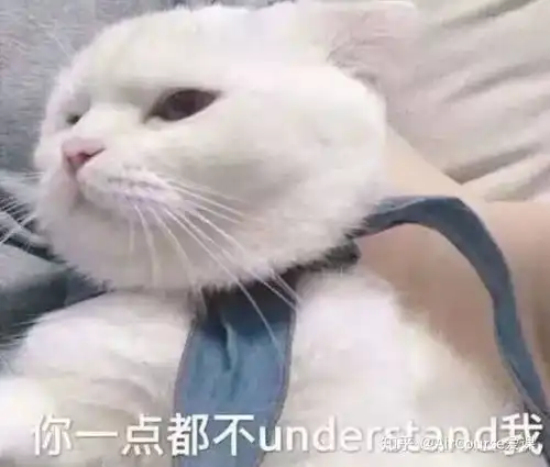 花丸幼稚园跳舞表情包猫