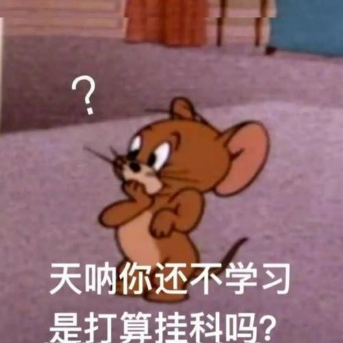  诚信考试,你我同行