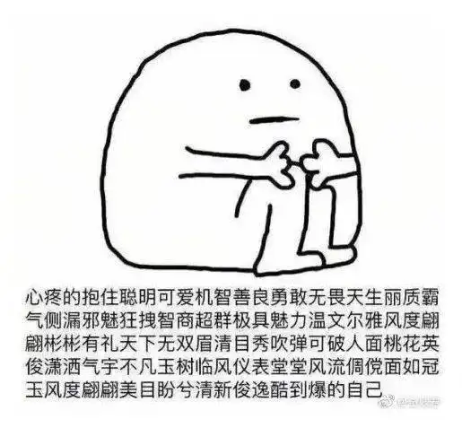 我脑子瓦特了表情包开车