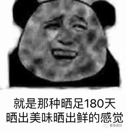  你若军训,便是晴天