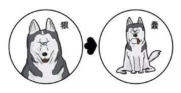 西伯利亚表情包楚科奇自