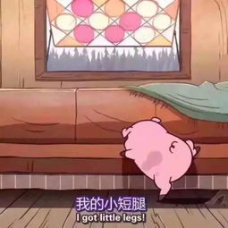  听说最近很流行吸猪