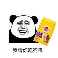喂狗粮表情包表情包