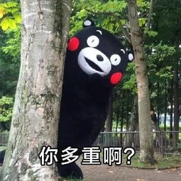  当然是选择原谅她啊