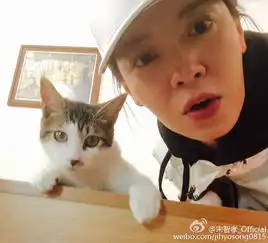  韩星宋智孝晒与猫咪合影网友萌萌哒