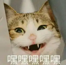 这把霰弹枪怎么有点不一样 这把霰弹枪怎么有点不一样