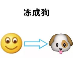  最低6珠海气温再创新低冷空气又袭恐怖是过年那几天