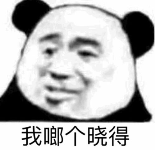 搞怪熊猫表情