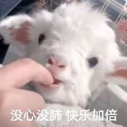  长假恋爱课为什么男生总是不懂你在想什么