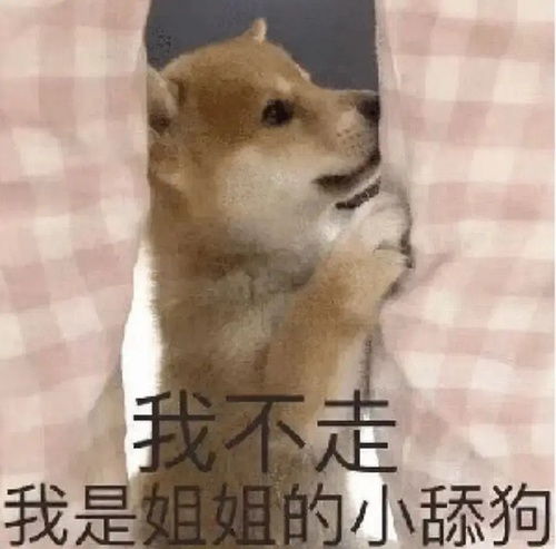  做梦题材