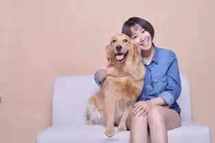 新闻117宠物表情包大赛送你一箱罐头好不好 新闻117宠物表情包大赛送你一箱罐头好不好