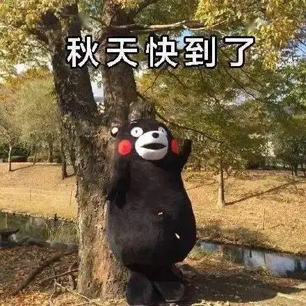  寒露节气后,昼渐短,夜渐长......晨晚略感丝丝丝寒意