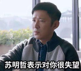  都挺好苏家三父子,一人一句口头禅,被做成表情包,火爆网络