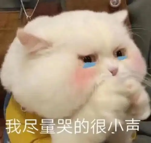可爱猫咪动图表情包 可爱猫咪动图表情包