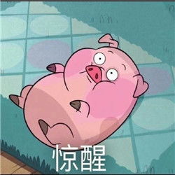  见过那么多猪,还是你最可爱